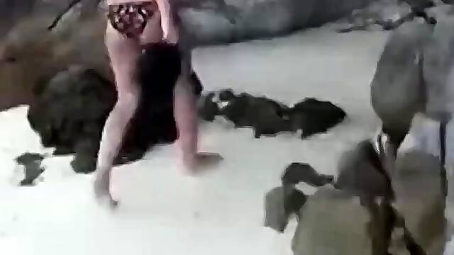 Amateur Couples Beach Sex Tape