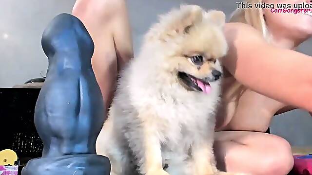 Hot Teenie Wrecks her Lovely Butt with a Huge Plug *** On CamGangster.com