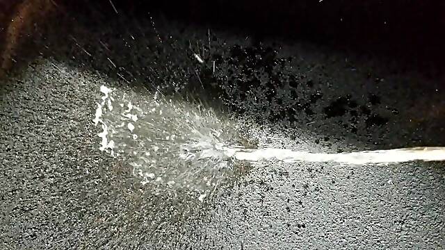 Parking Lot Public Piddle 4