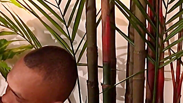 Neighbor Voyeur Watches White Girl Getting Pounded by BBC!